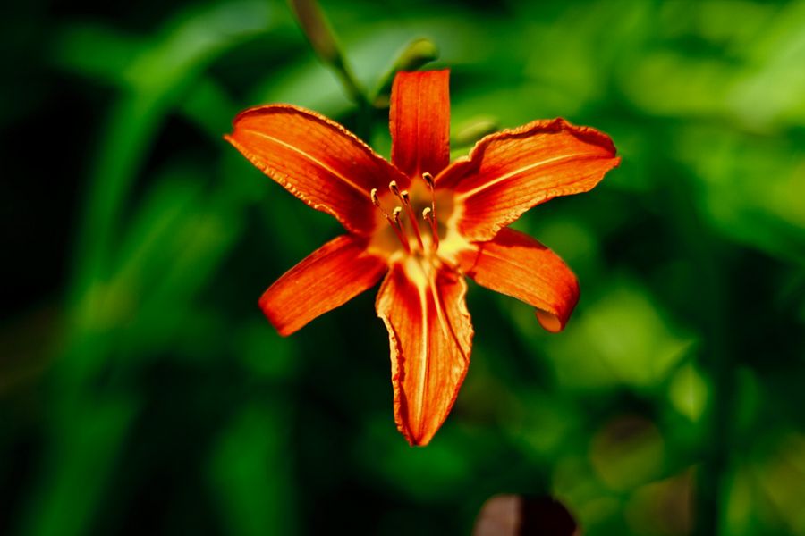 Редкость Уран-10 2,5/10см (СССР, 1958)