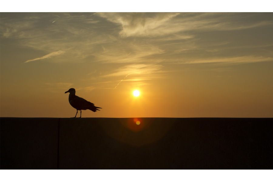 Мир-1 2.8/37 GPB (ЗОМЗ, 1964) в тубусе