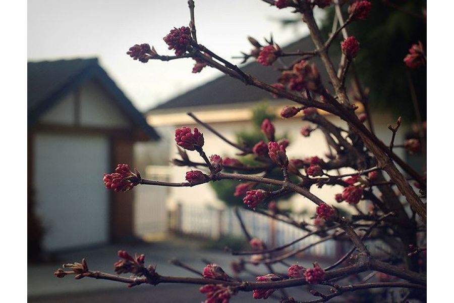 Мир-1 2.8/37 GPB (ЗОМЗ, 1964) в тубусе