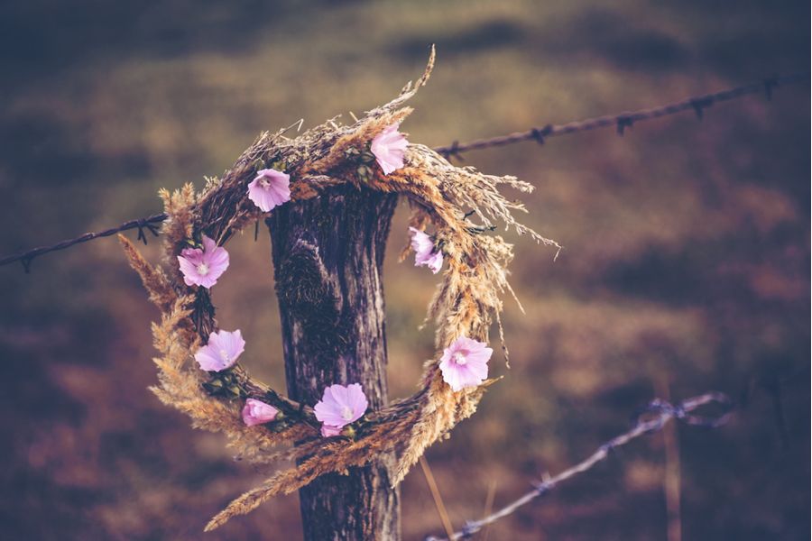 7Artisans 55mm f/1.4 M4/3 1