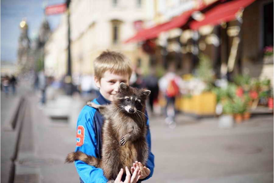 Voigtlander Nokton 50mm f/1.1 новый