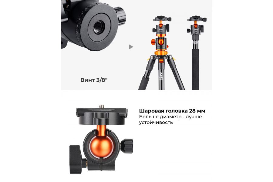 Штатив K&F Concept T254A4 + BH-28L