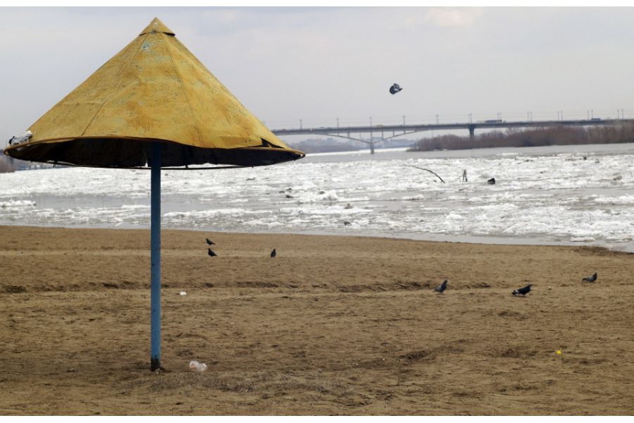 Minolta AF Maxxum 50mm f/1.4(22) 