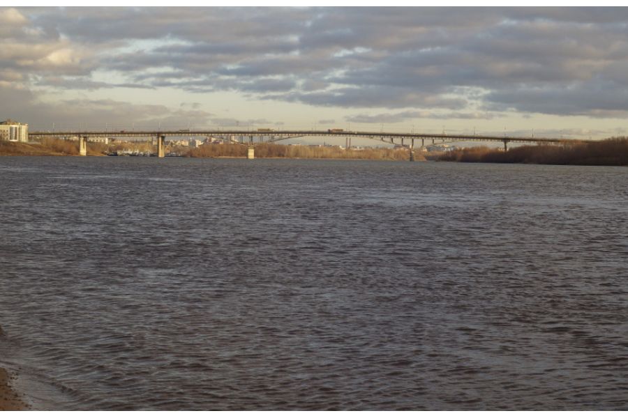 Minolta AF Maxxum 50mm f/1.4(22) 