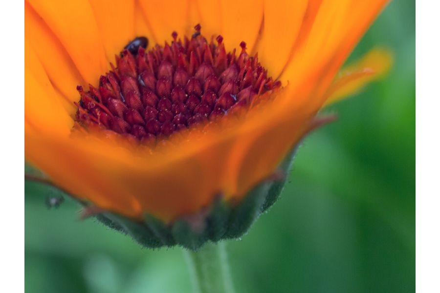 Вега-11УР 2.8/50