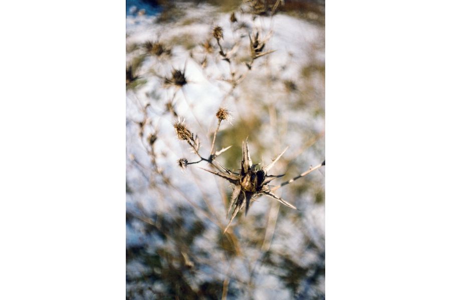 Зенитар-Н 2.8/28 MC Nikon F