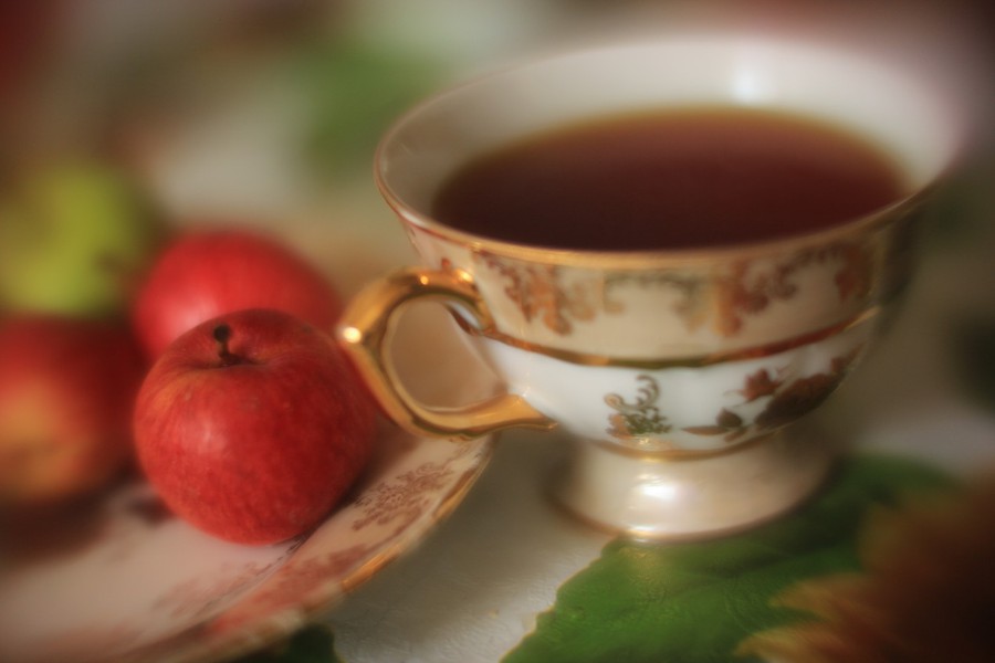 Rayxar E65/0,75/0 De Oude Delft