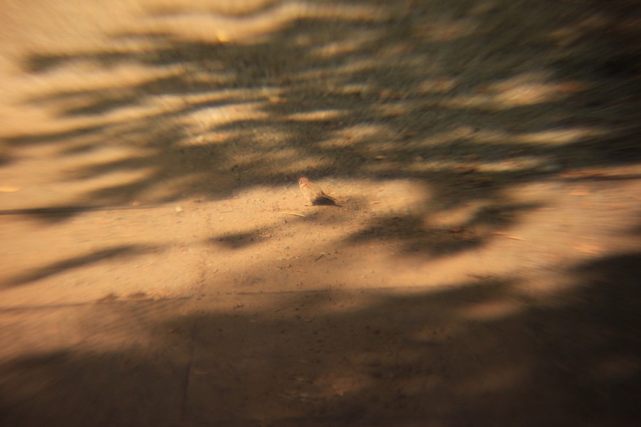 Rayxar E65/0,75/0 De Oude Delft