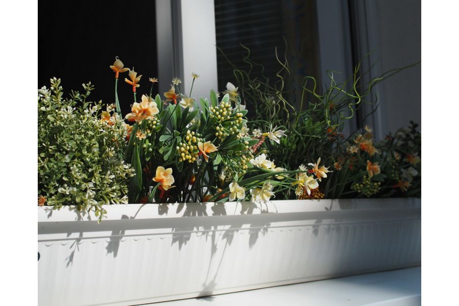 Canon FD 2.8/28mm (Japan, 1979)