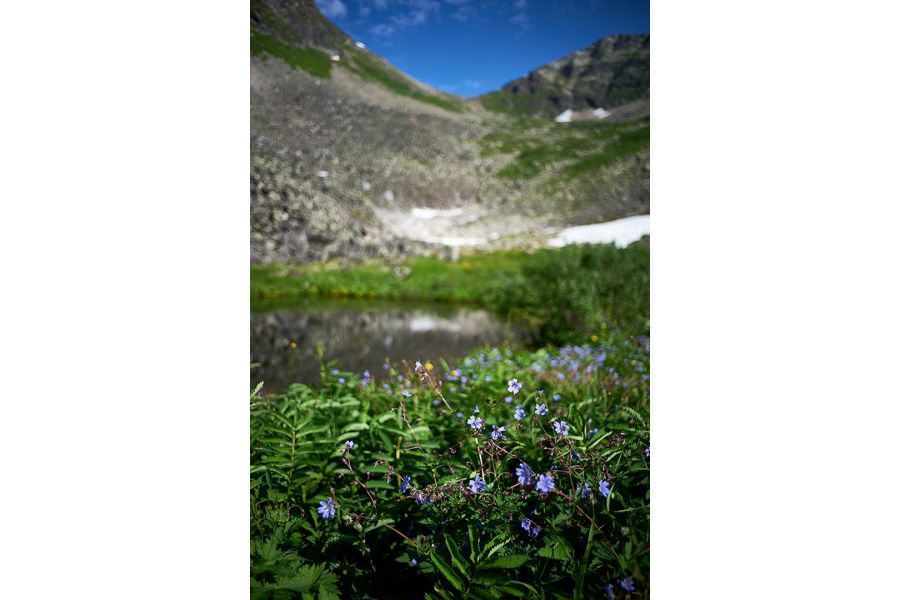 Canon FD 2.8/28mm (Japan, 1979)