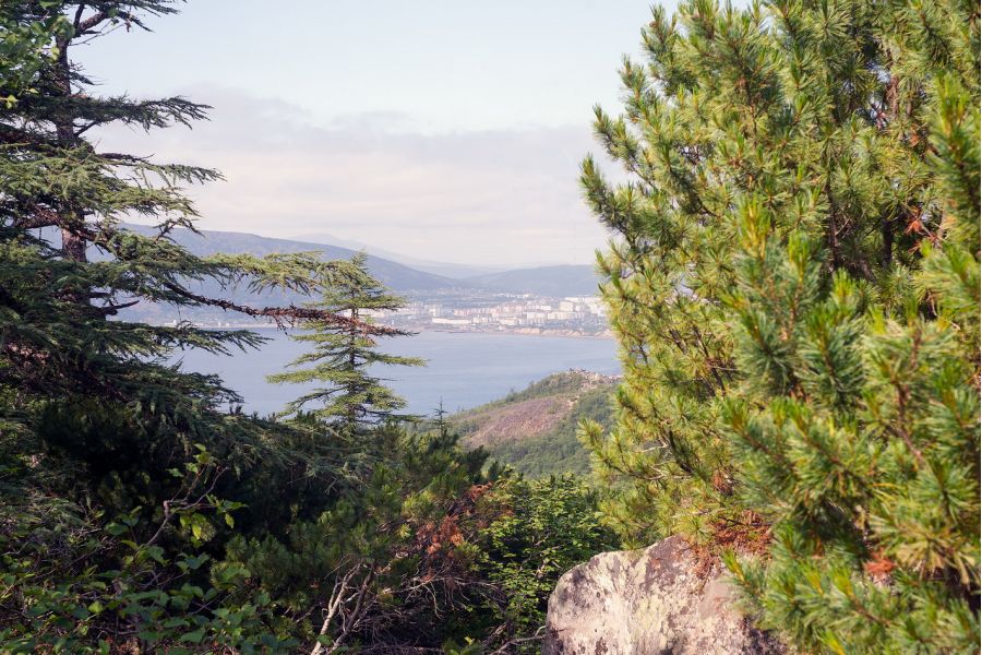 Tessar 2.8/5cm Carl Zeiss Jena (Germany,1938)