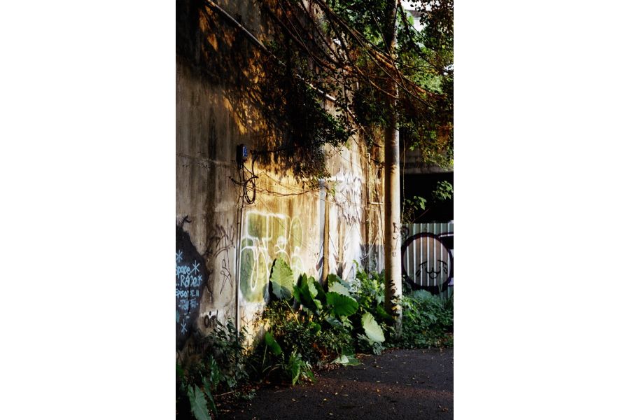 Tessar 2.8/5cm Carl Zeiss Jena (Germany,1938)