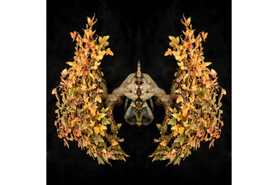 Nikon 200mm f/4D ED-IF AF Micro-Nikkor (новый)