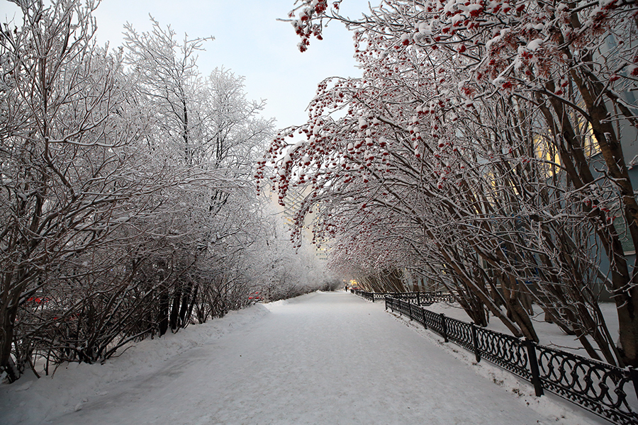 Canon EF 16-35mm f/2.8L III USM новый