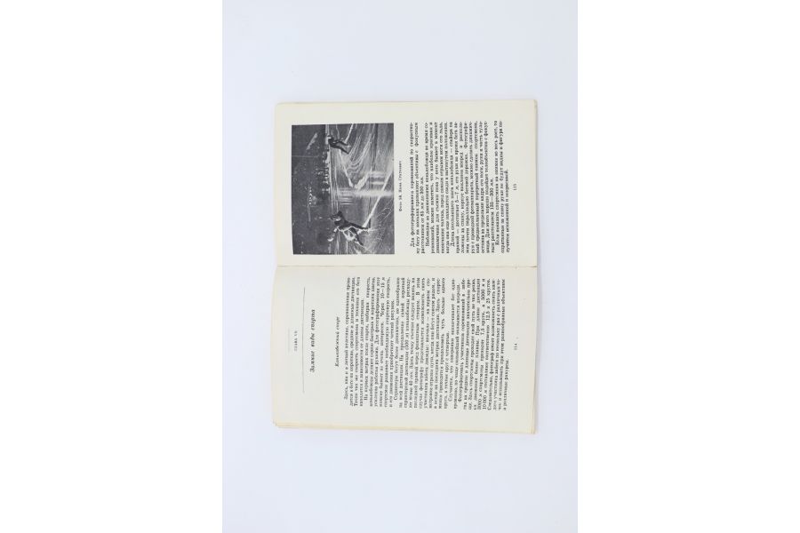 Фотографирование спорта В.С. Шандрин