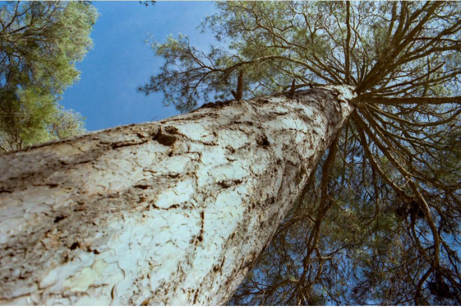 Kenlock-Mc tor MC 3.8-5.5/28-200mm