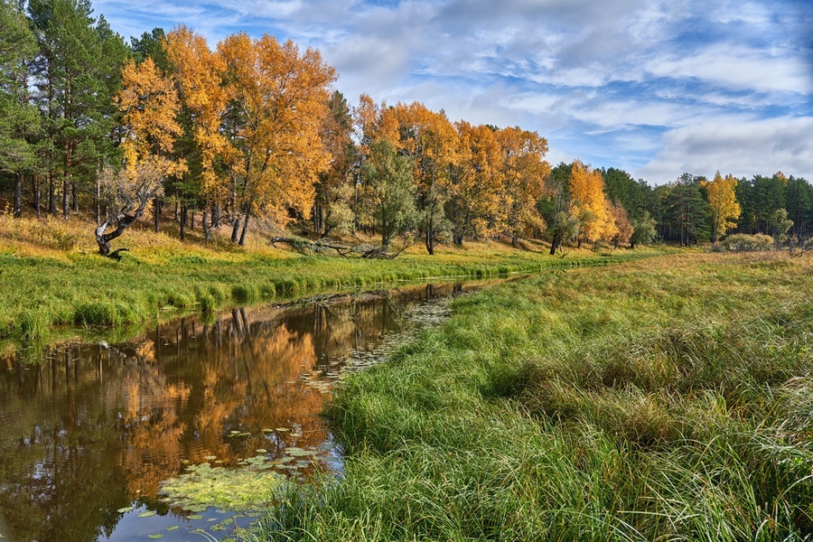 Sigma AF 35mm f/1.4 DG HSM Art Canon EF new