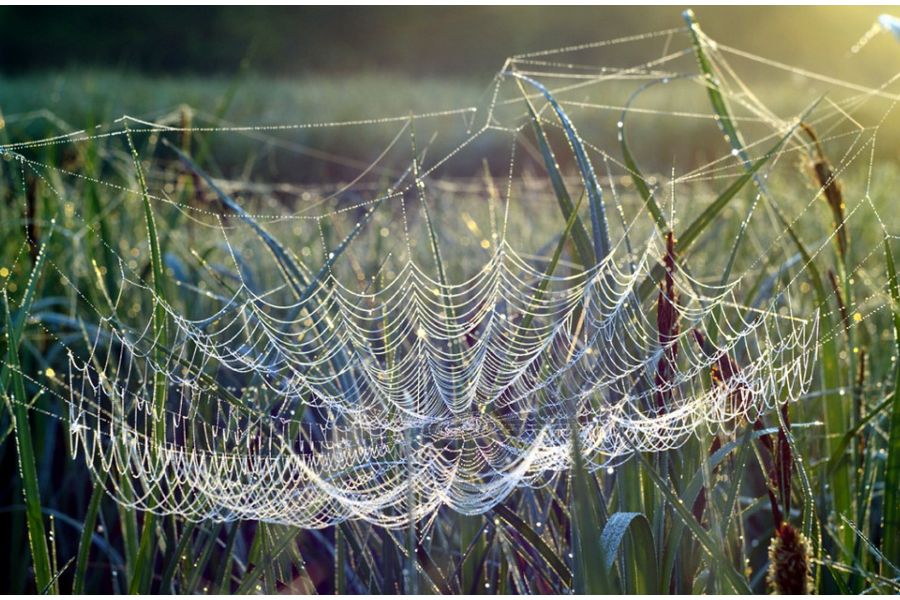 Супер мс Гелиос-44М-7 f2/58mm для Nikon