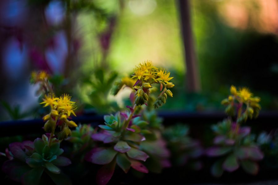 Супер мс Гелиос-44М-7 f2/58mm для Nikon