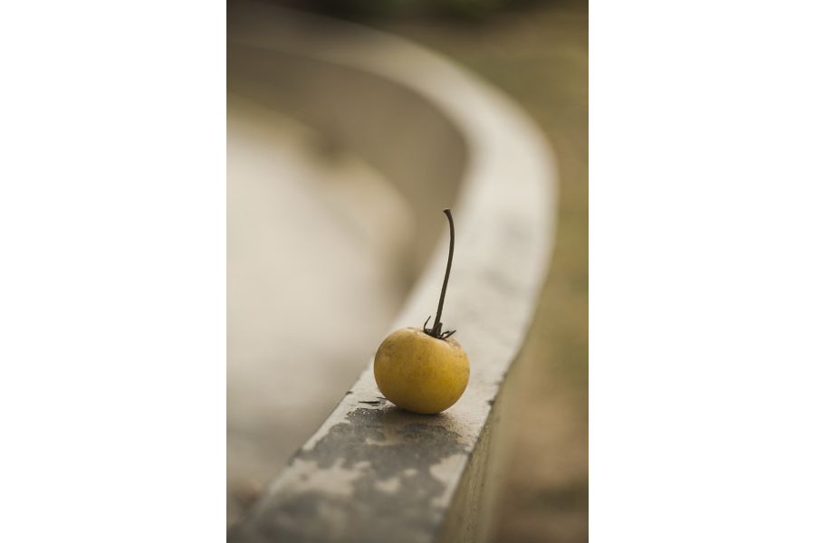 Супер мс Гелиос-44М-7 f2/58mm для Nikon