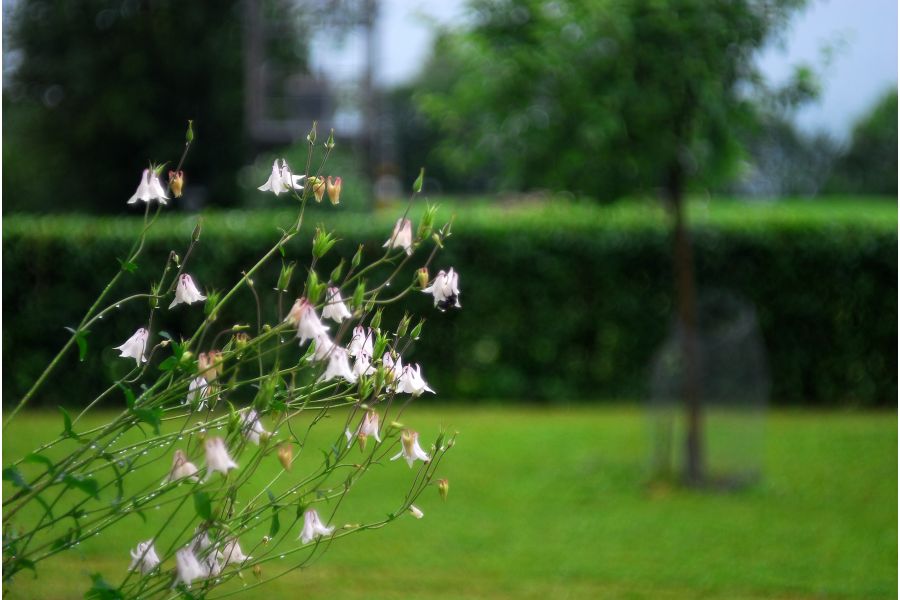 Редкий Helios-44 2/58mm для Canon (глянцевый)