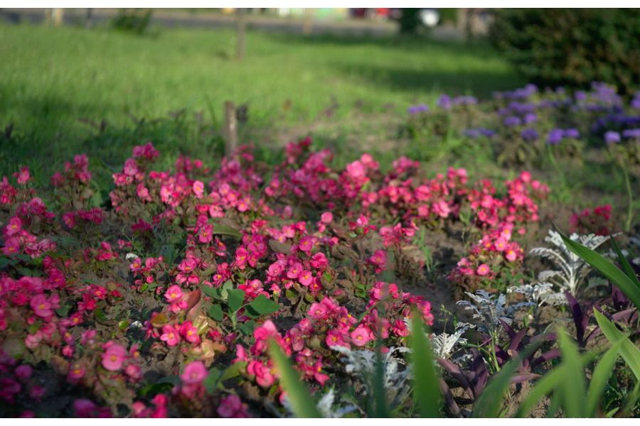 Редкий Индустар-10 3.5/50мм ФЭД Макро