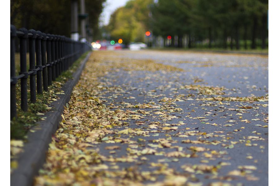 Planar 1,4/85 ZF.2 T* Carl Zeiss Nikon F идеал