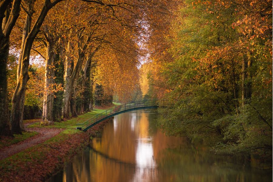 Pentacon 2.8/135 M42