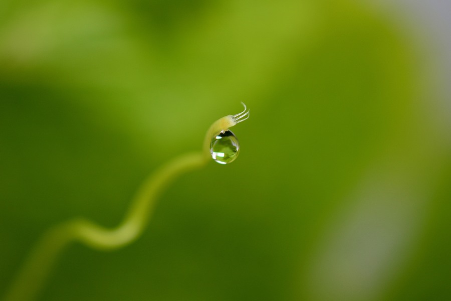 Nikon 40mm f/2.8G AF-S DX micro Nikkor в коробке