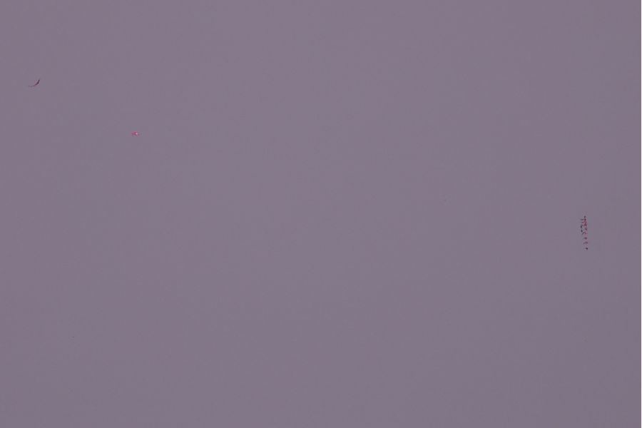 Canon EOS R6 mark II body (пробег неизвестен)