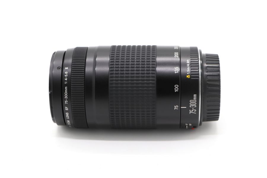 Canon EF 75-300mm 4-5.6 II