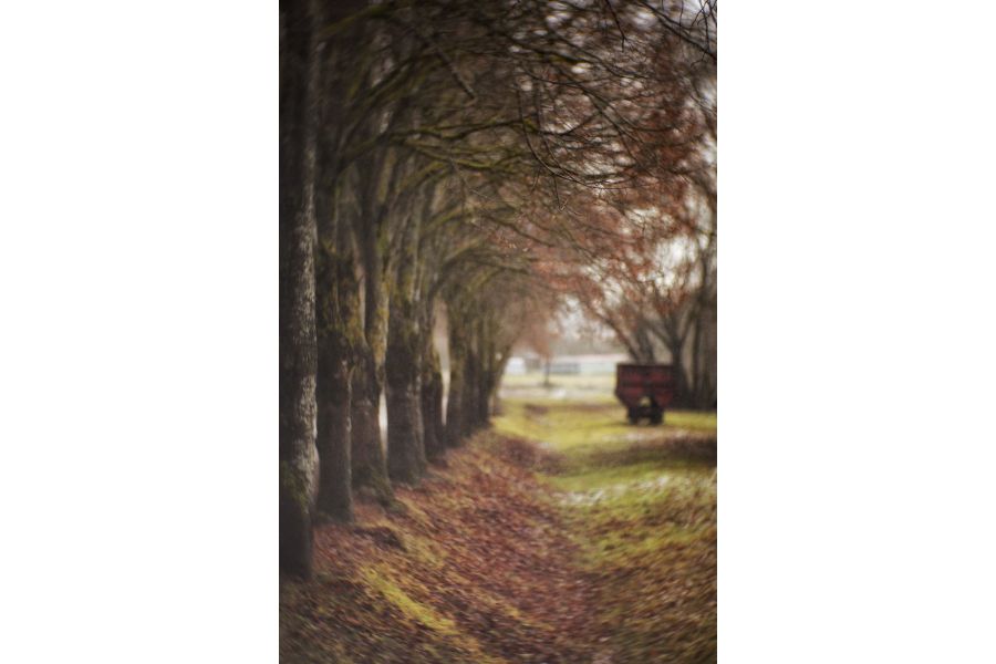 35-НАП2-3М 56/2 f=80/110 (СССР, 1980)