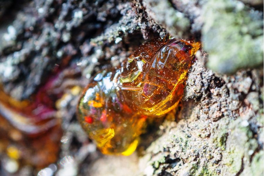 Микропланар 4,5/40 