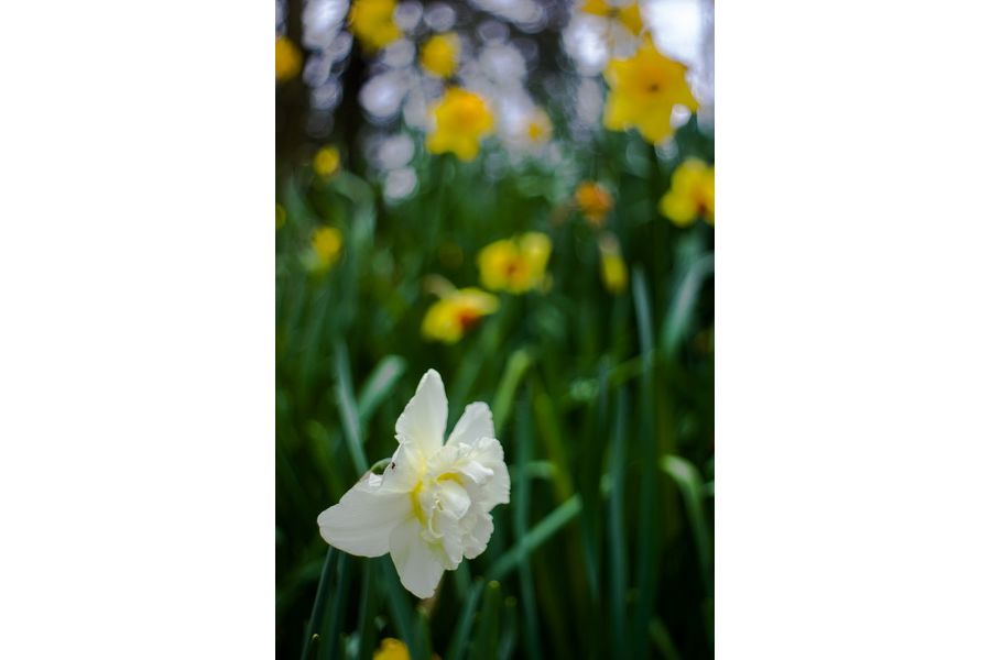 Мир-1 2,8/37 М39 (СССР, 1980) переделка