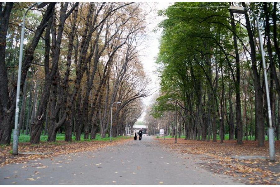 Nikon 35-70mm f/3.5-4.8 Zoom-Nikkor