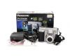 Panasonic Palm Cam PV-SD4090