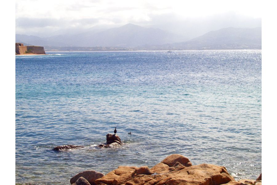 Canon EF 20mm f/2.8 USM в упаковке