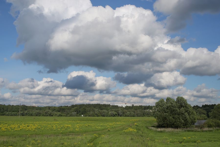 Tamron SP AF 45mm f1.8 Di VC USD (F013) Canon EF