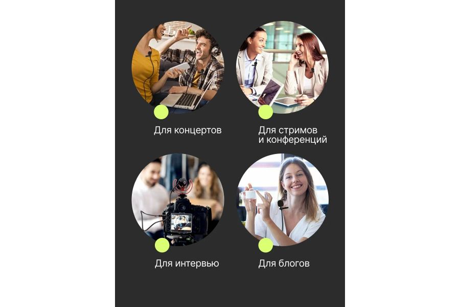 Петличный микрофон Raylab Rec. DH LavMic двойной 6м