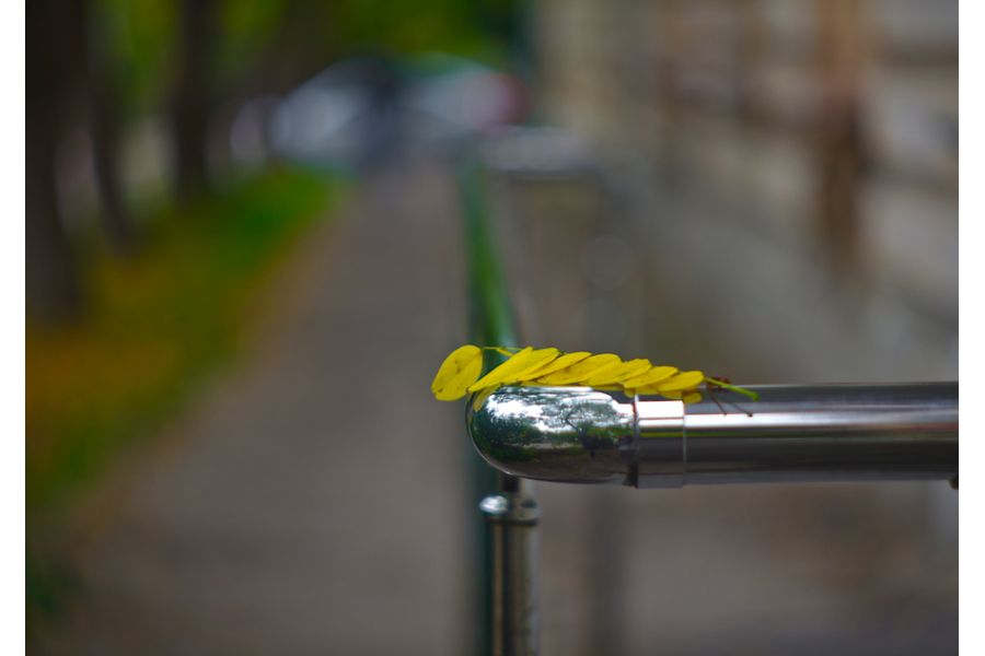 Telor 2/85mm O (Germany, 1965)