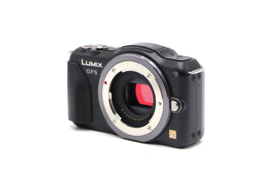 Panasonic Lumix DMC-GF5 body