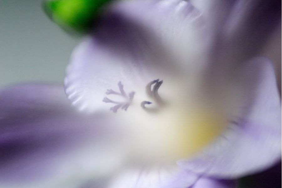 Meopta Stigmar X 1,1/75