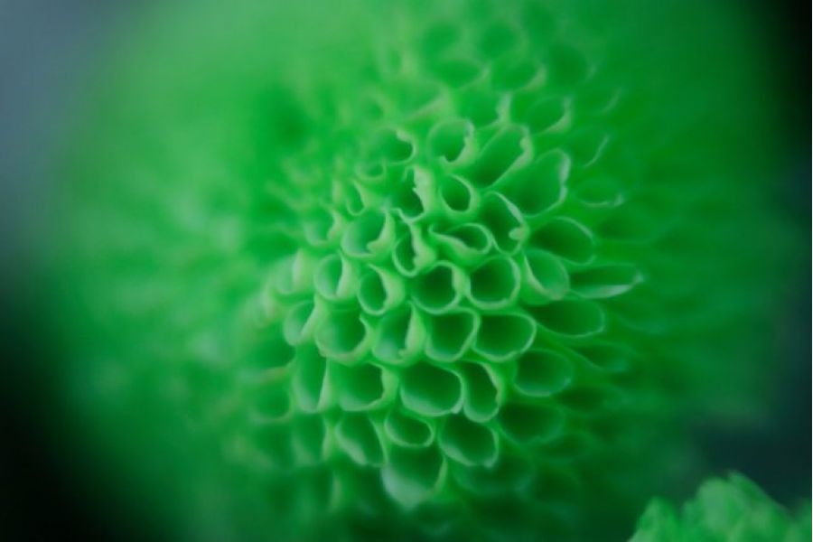 Meopta Stigmar X 1,1/75