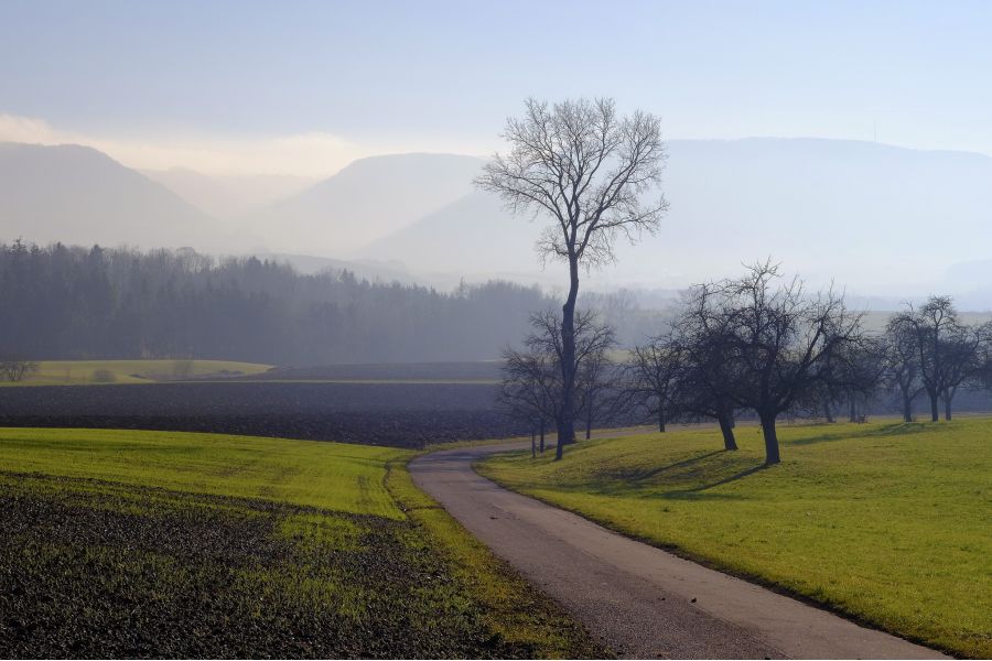 Biotar 1,6/70 Carl Zeiss Jena